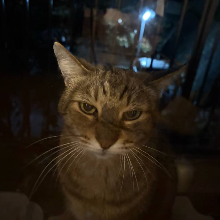 Fa9b62ab 3e7c 4296 96fa 226a6a0f7f26 1763553362266