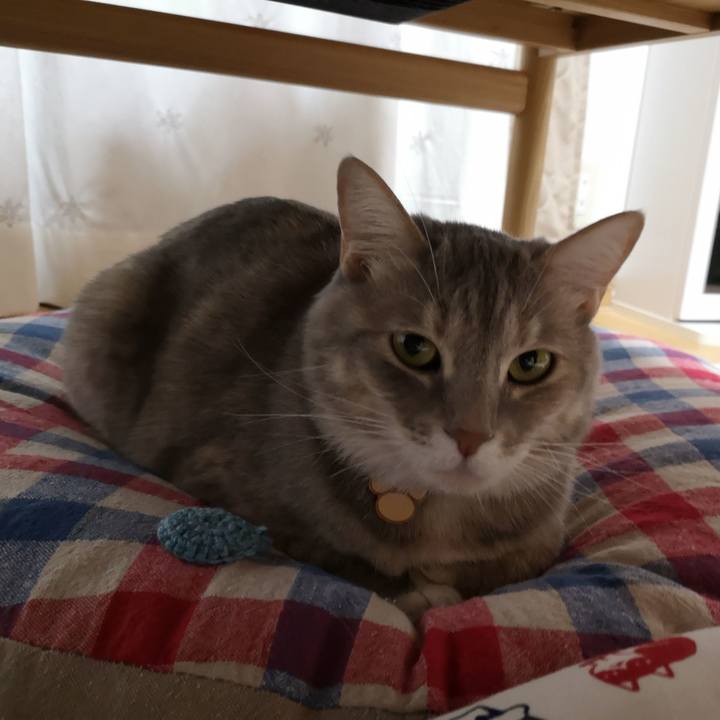 Fa9b7cd6 52d2 4423 88a9 c408e316a01a 1557154140606