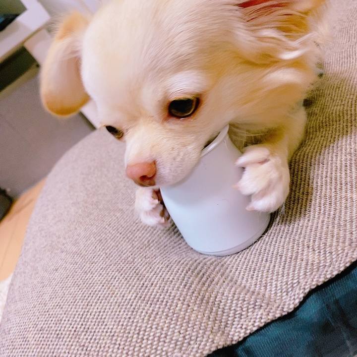 Fa9b9c9f e6bd 45d5 b120 8b80e0961f7f 1635917245668