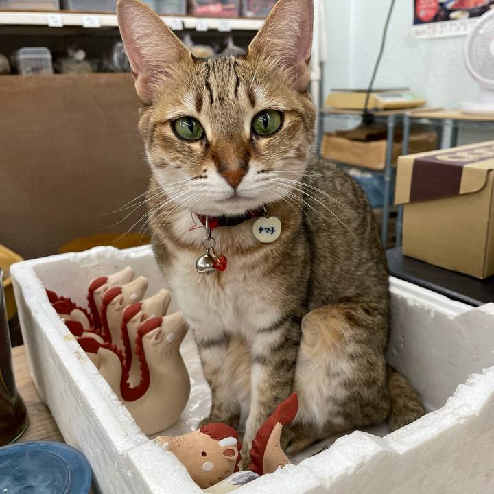 Fa9bdc3a 0afd 4d47 bcc2 e8da057da3a2 1702619146499