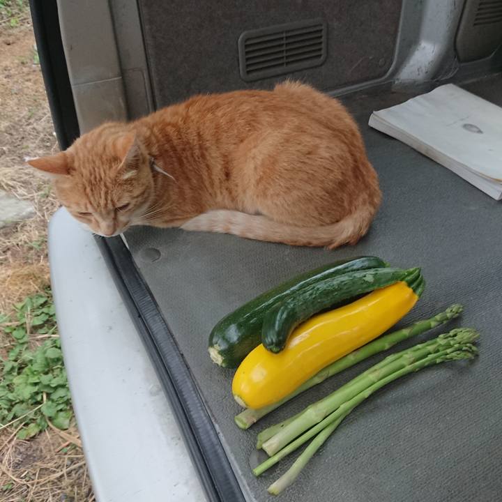 Fa9c0a1c caf0 45f3 ac72 19b72be7bf1d 1593162879440