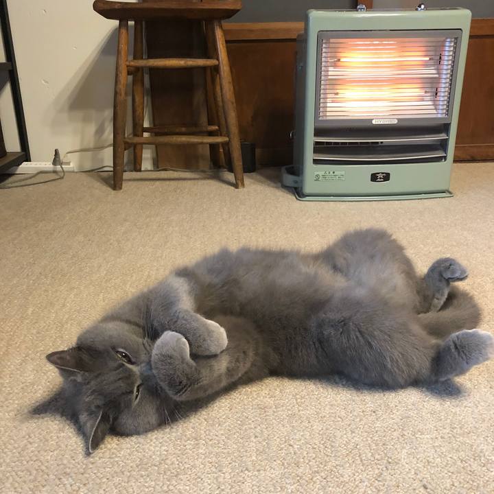 Fa9c2063 22fe 49af b872 69e7f62b0c7a 1618709815742