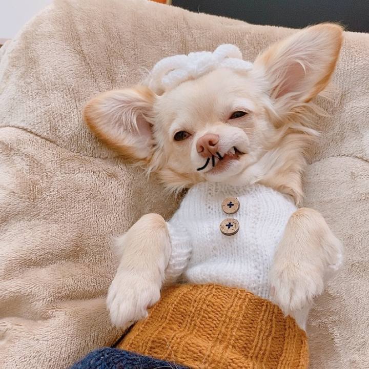 Fa9c2102 82f8 417d a3d7 00cd6fad7ad1 1614986867106