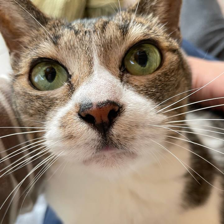 Fa9c2930 3cc3 48c4 a71e cd3633e8f96e 1634952183843