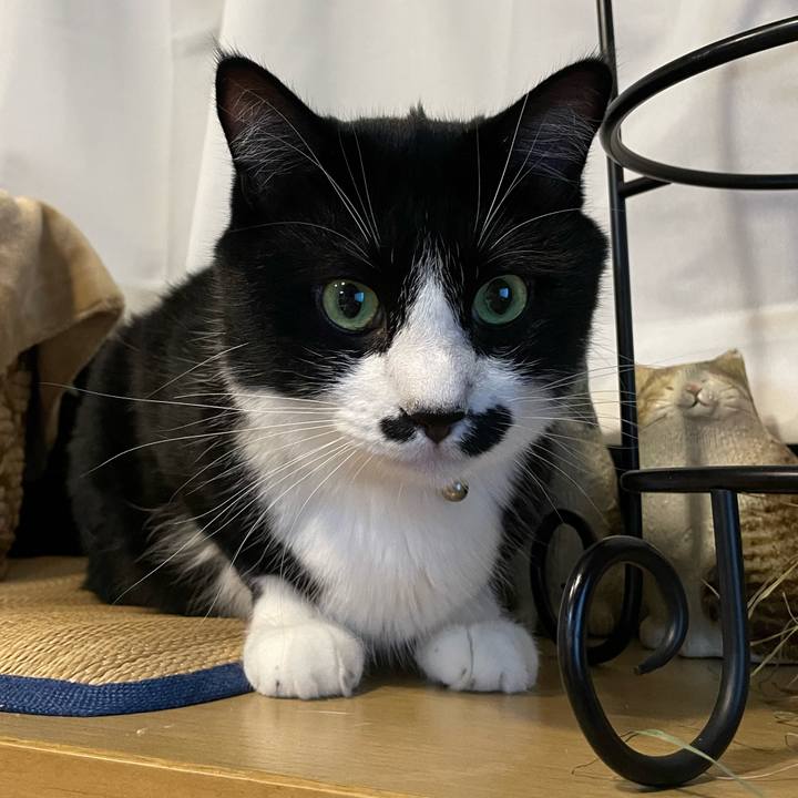 Fa9c8b0a 16ce 4087 bf8b f6e28e8263f2 1659795090401