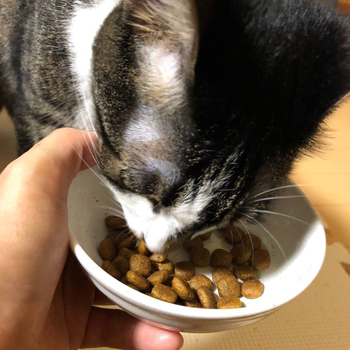 Fa9cc779 f7f5 44a5 bf6d ff7ceaa147c1 1532202380706