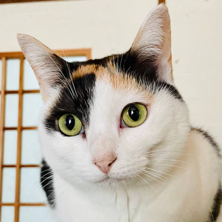 Fa9ccbb2 f42f 4429 82d1 70b3e37fac10 1614045773123