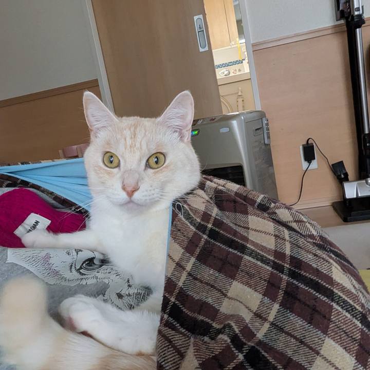 Fa9ceaba e056 46da 951c 4419df8ee23d 1768785814592