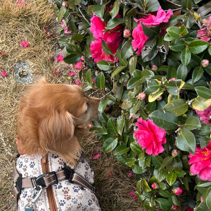 Fa9cff56 a844 47cf 970f 96c8932d3d66 1769330994413