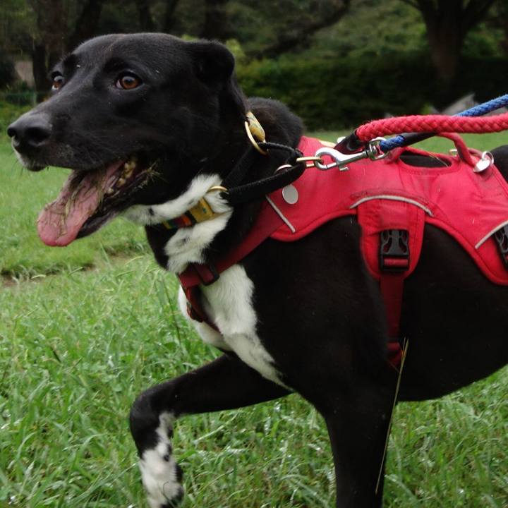 Fa9d014b c953 40ef 86e8 68a82c5df077 1600646785632