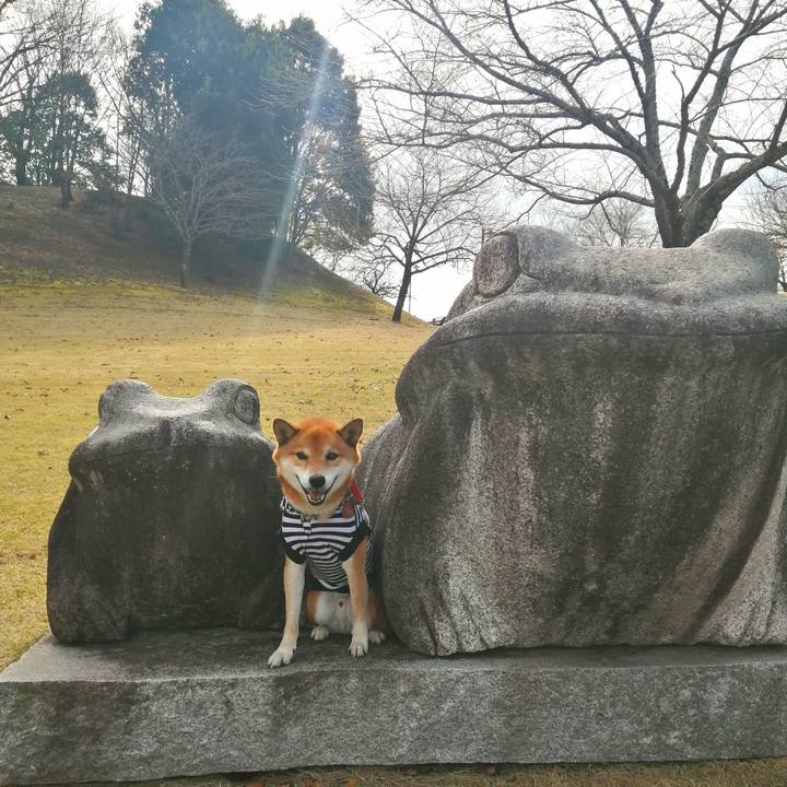 Fa9d180d c7c5 44b5 8efe 86b1b2d54b1a 1606057798203