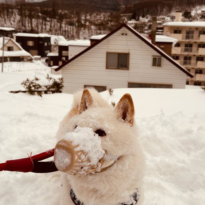 Fa9d28d9 f8cc 4ea5 8509 ad6d322b2480 1739317197254