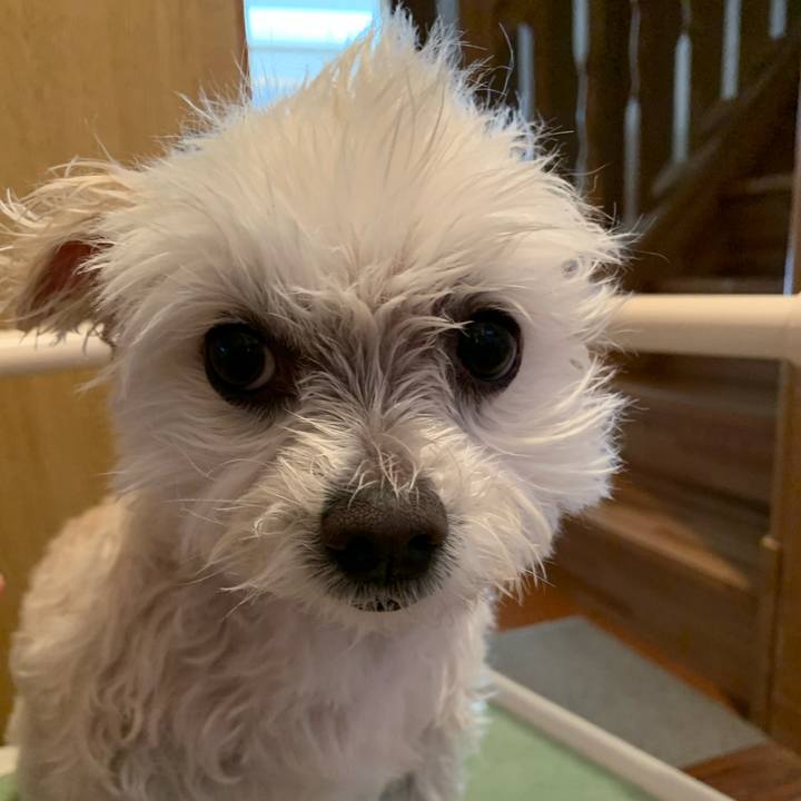 Fa9d3a99 8f9e 4cc5 96e1 0611edf3ae73 1646023908580