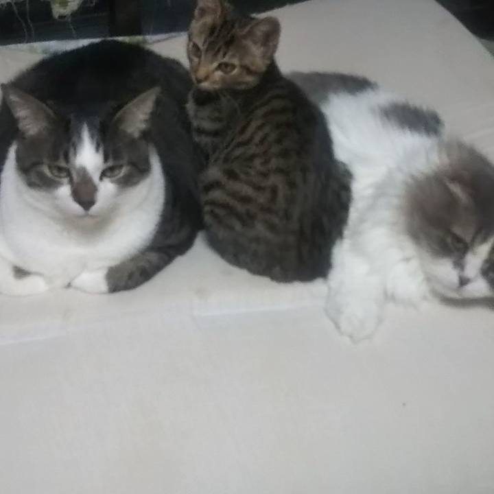 Fa9d579b 37d4 408c a53c ad4a72f04d53 1638431808812