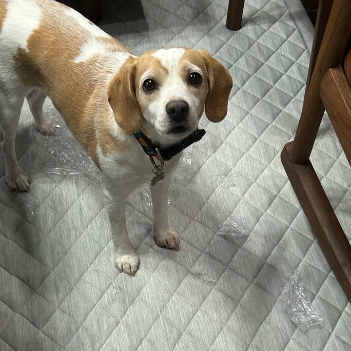 Fa9d7702 f0b4 4206 8bc6 cd82f54a39e5 1755480918095