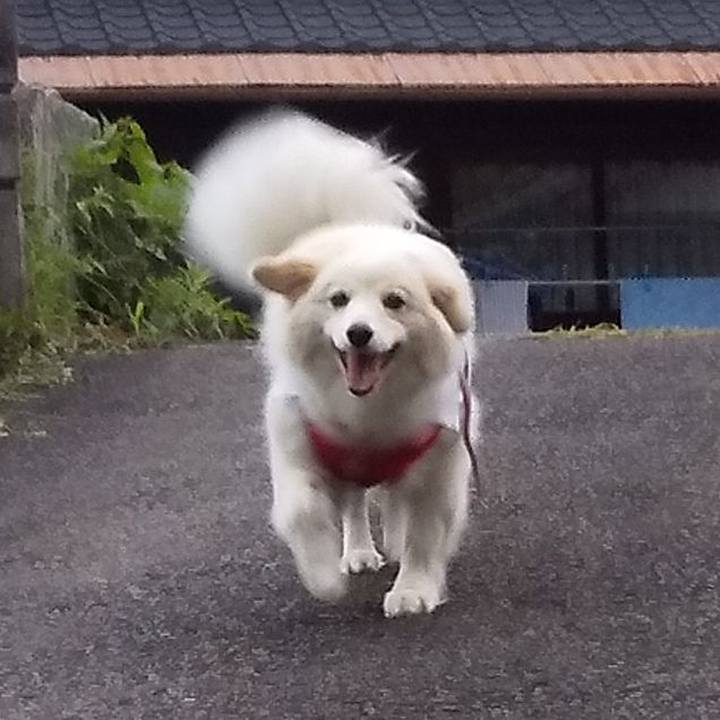 Fa9da8c8 b758 4e5c 92dd bdac9fdf990b 1563185545193