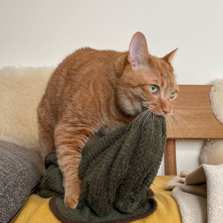 Fa9dac42 ced7 4fd1 b57e 65156940ee33 1636845536766