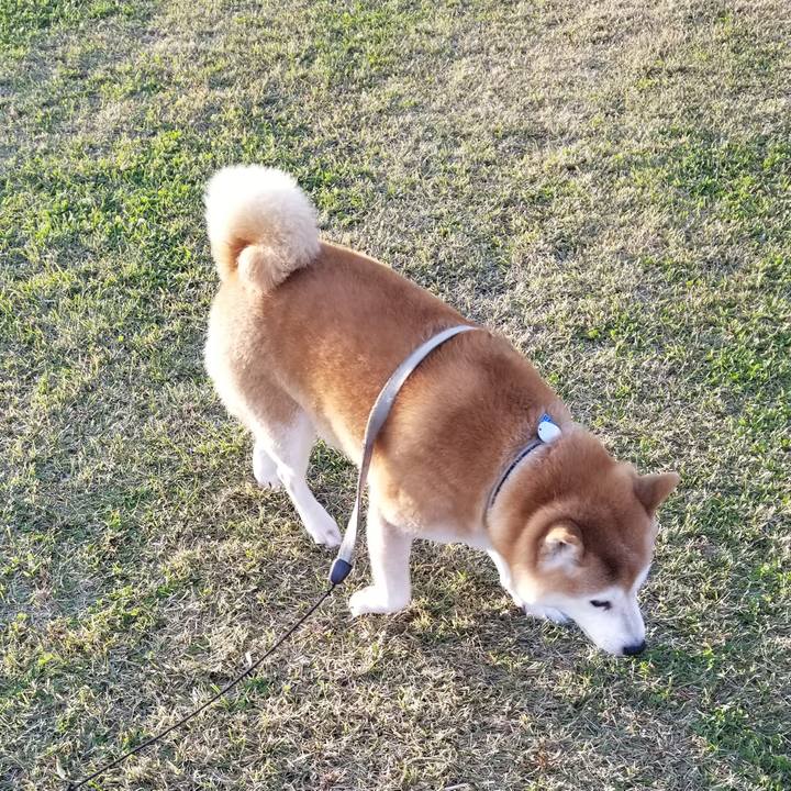 Fa9db271 66a6 48ca 94b2 dccbcf531d4c 1636957519559