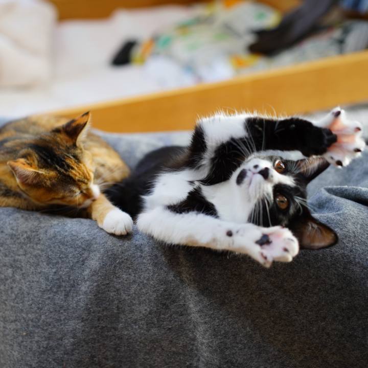 Fa9dfc8e b38c 48ea a8e1 5a94d4d03d6a 1575503540420