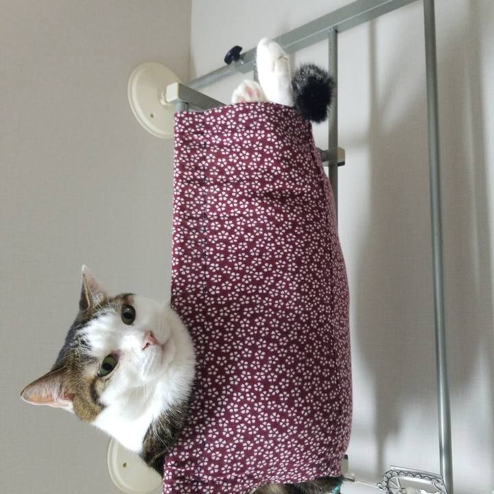 Fa9e2fc1 deb1 4ec5 8c08 344f7b7b7e9d 1594903404950