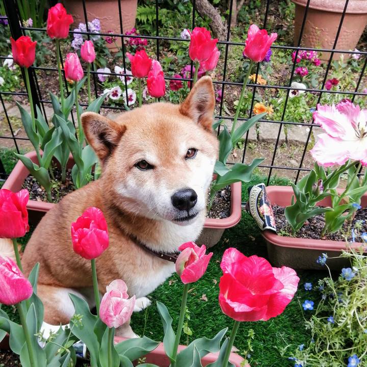 Fa9e59ab 6ee2 45b8 8ca5 ebed060c228c 1587738654055