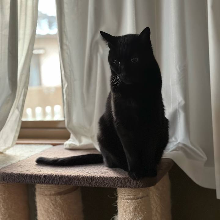 Fa9e7502 d262 49dd aa15 2e88d79e295d 1672368348758