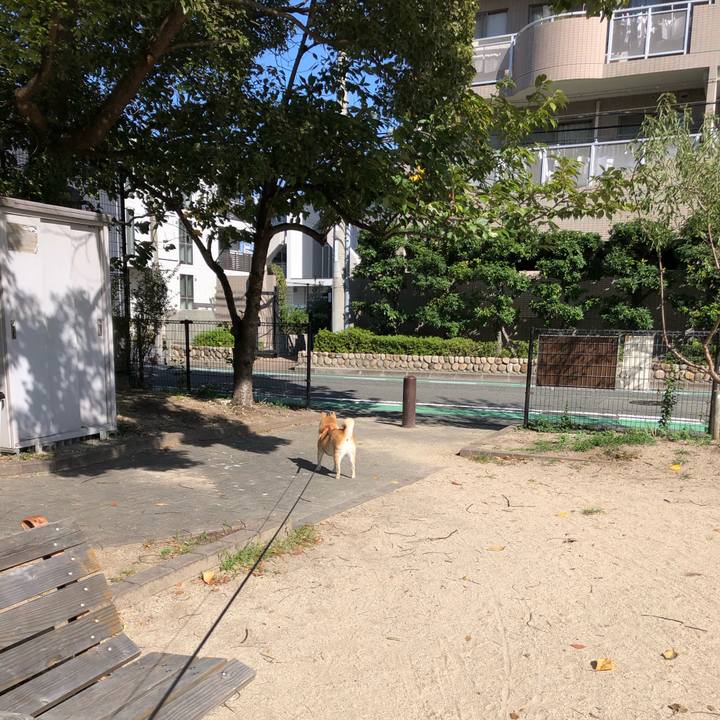 Fa9e8cf8 5c7e 4a18 9a7a bdc3c3b3f076 1602757608918