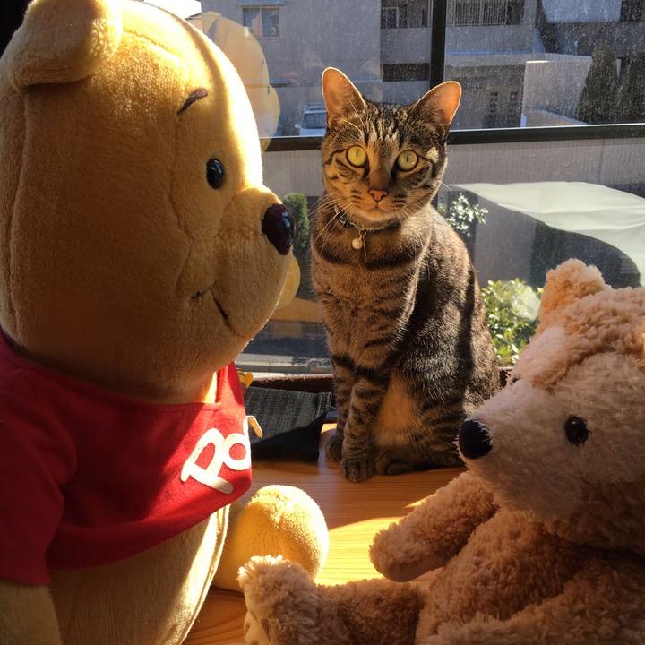 Fa9ea6c7 0671 4608 8bc3 99cb958bb014 1516499124213