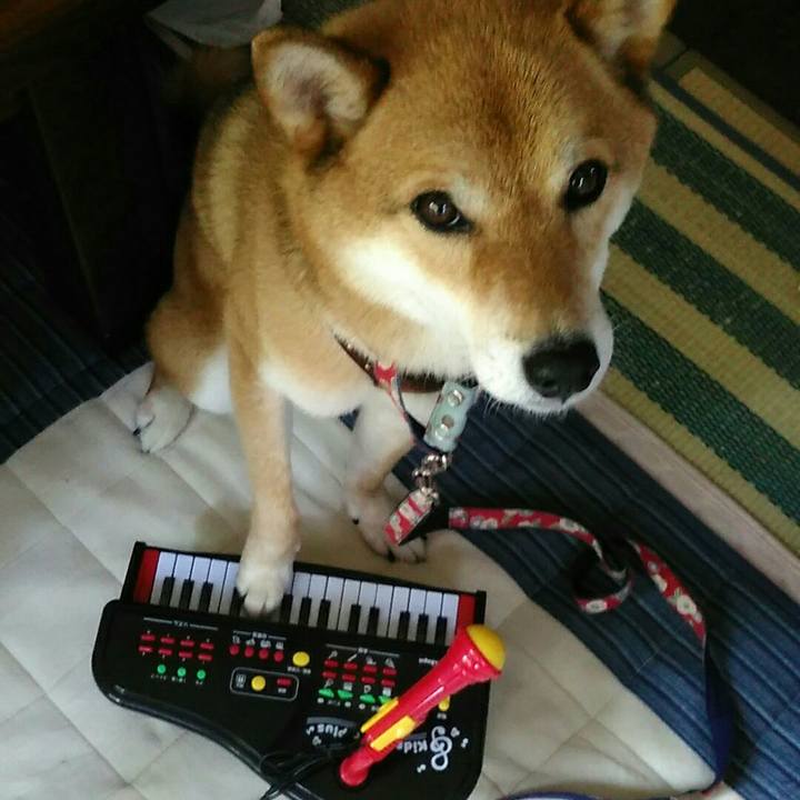 Fa9ebdf0 0349 4b80 a510 d79c8e29654f 1564644305233