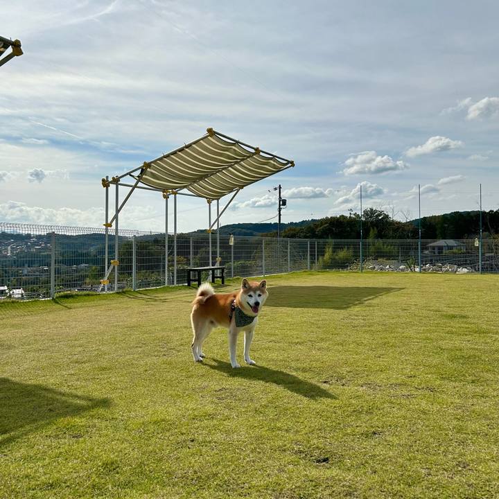 Fa9ebf68 0a86 4b4c 9a2c 39dd52a073a2 1729846578403