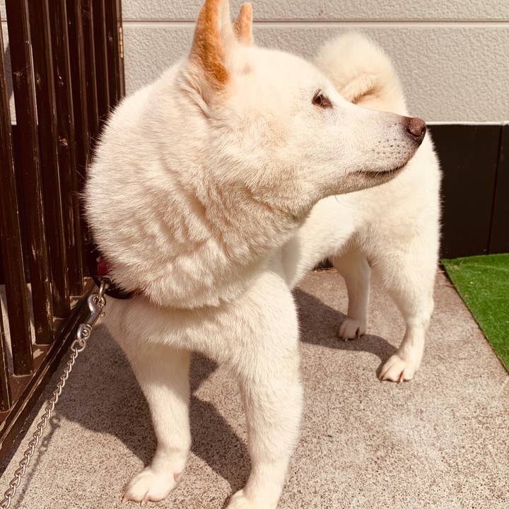 Fa9edb52 44e2 4478 938a f71e4beb82c9 1588484772276