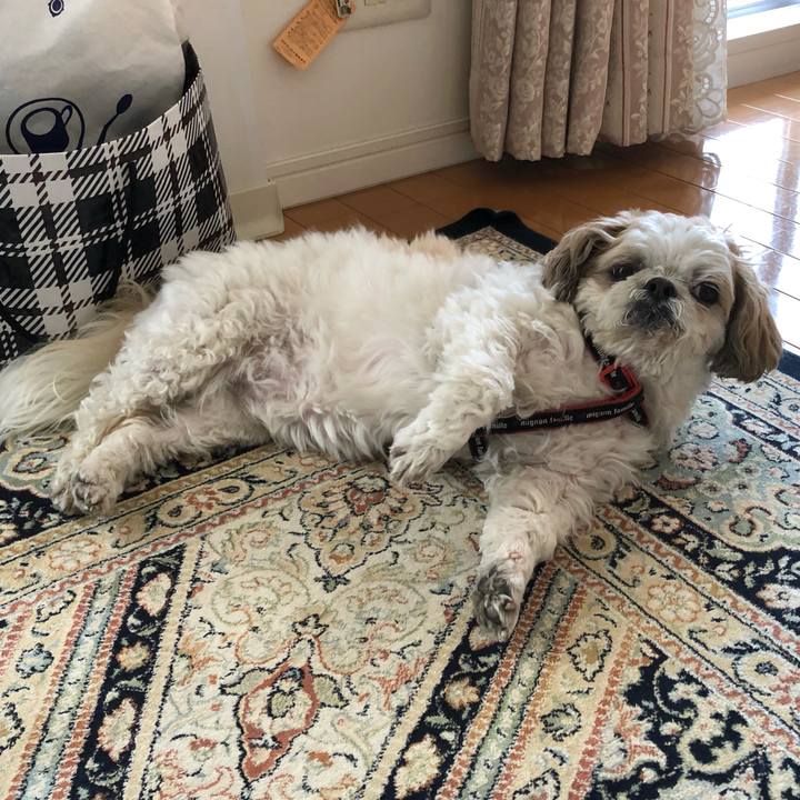 Fa9ef946 063c 4389 b0c8 a06032eb043e 1588974419525