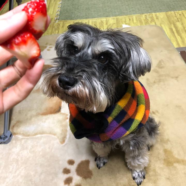 Fa9f229d 54f9 4700 9151 3b835c98f3de 1555816949413