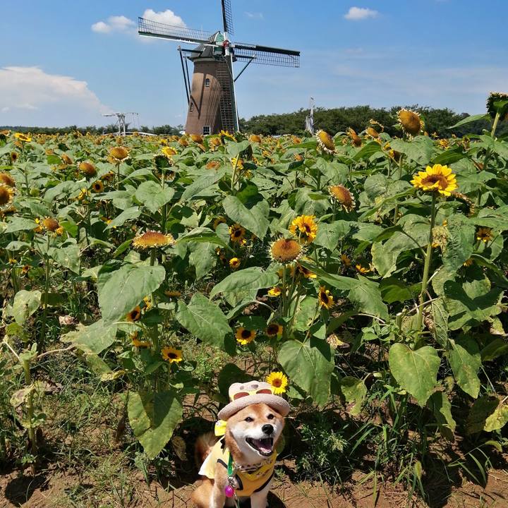 Fa9f289b 86c2 4f74 9ee8 ac6486f90712 1626864108309