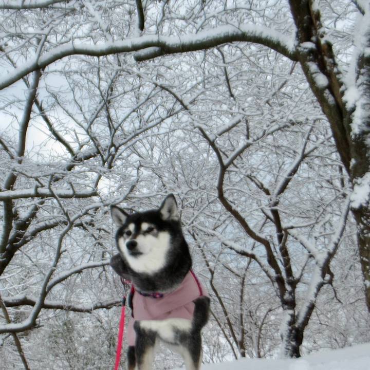 Fa9f7151 1191 461e 97fc ca83e3817057 1709427695155