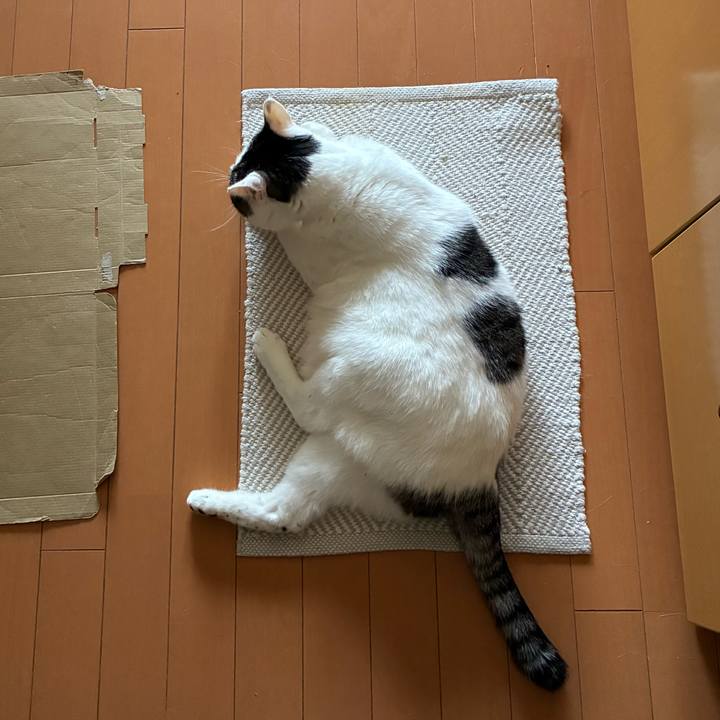 Fa9f95b8 ee90 47c2 8fc2 e26e5bb62a8a 1762210094199