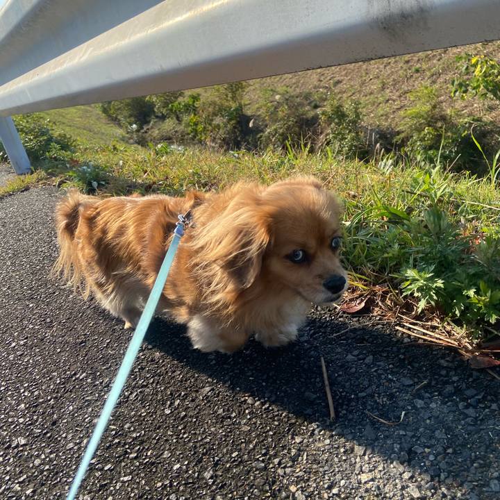 Fa9fa71e 2b28 46df ab25 f217a48e8a0d 1604796645459