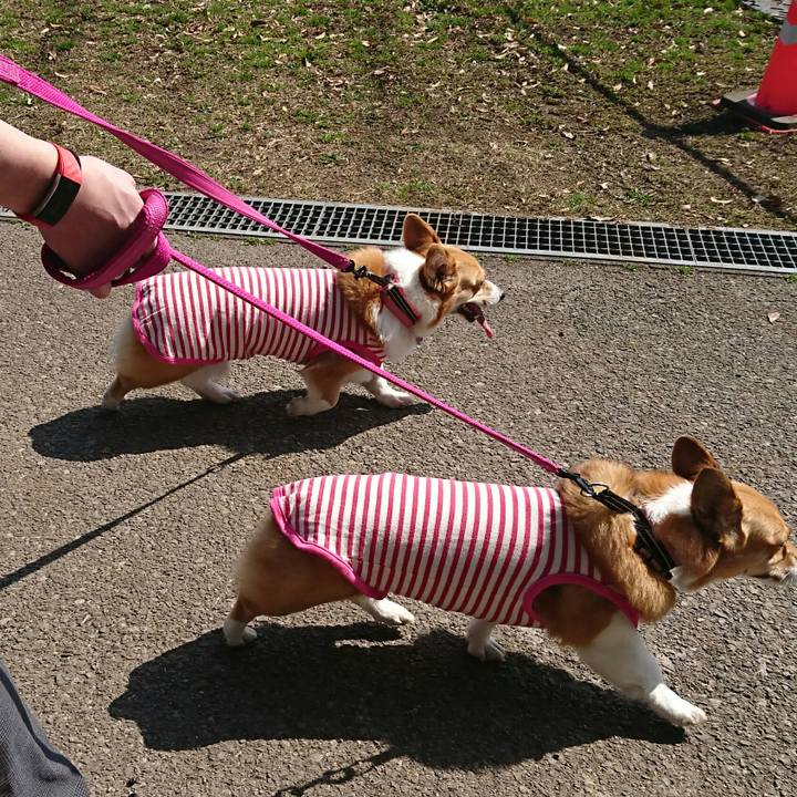 Fa9fb355 41d5 4dcd 81dd d7f31dcb943b 1520171027623