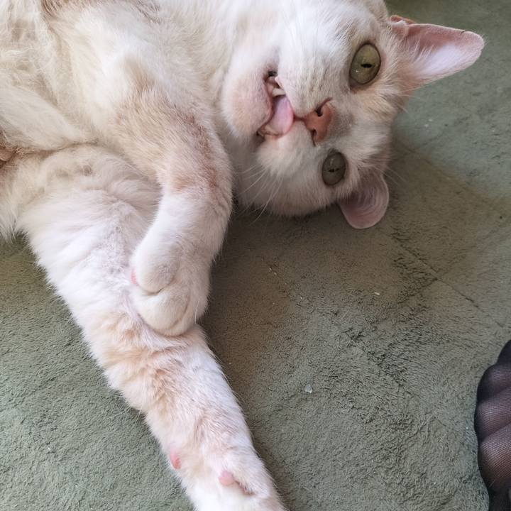 Fa9fbdf7 2bef 4906 ab9a 24f4c55c8530 1651535235801