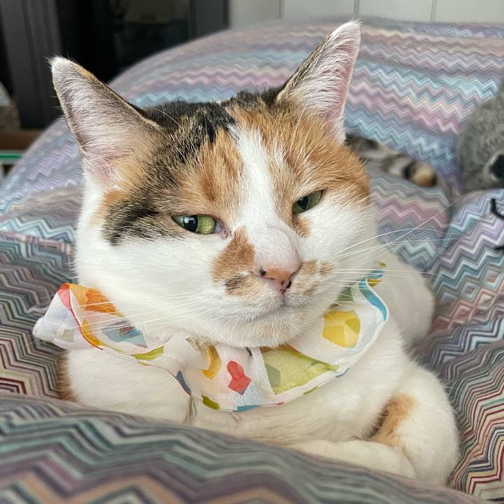 Fa9fc148 328e 4c99 9c0e 25949c5a8840 1768695284794