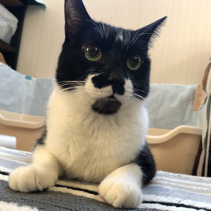 Fa9fd437 a2e6 4df4 865b 2e424bb0c195 1578806930558