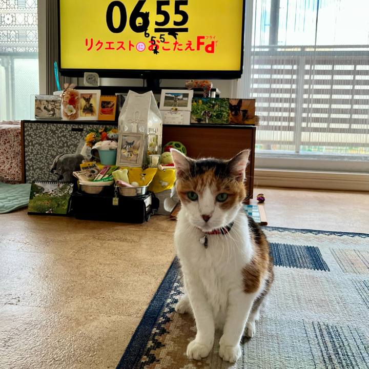 Fa9ff07c 34e9 47bf a5be 6573a8e31064 1692917862812