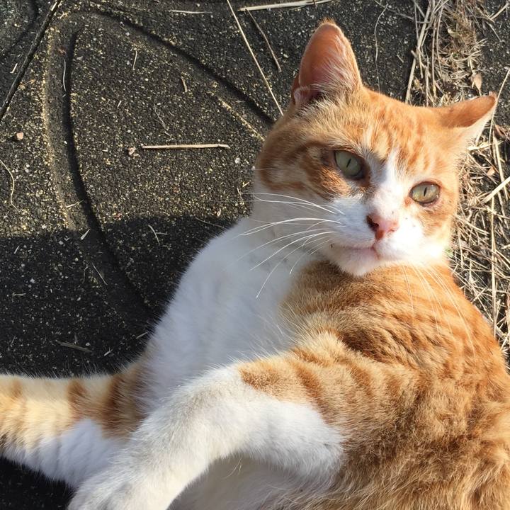 Faa003a5 91a7 41c8 8ca6 9fda7e918020 1516529231513