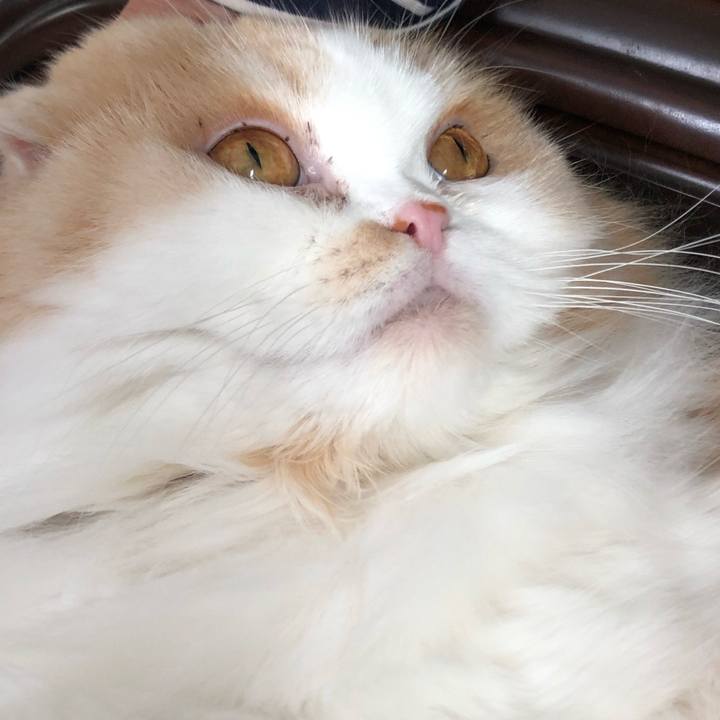 Faa014a9 48bb 4436 8afa 66b11faa9dea 1636198288128