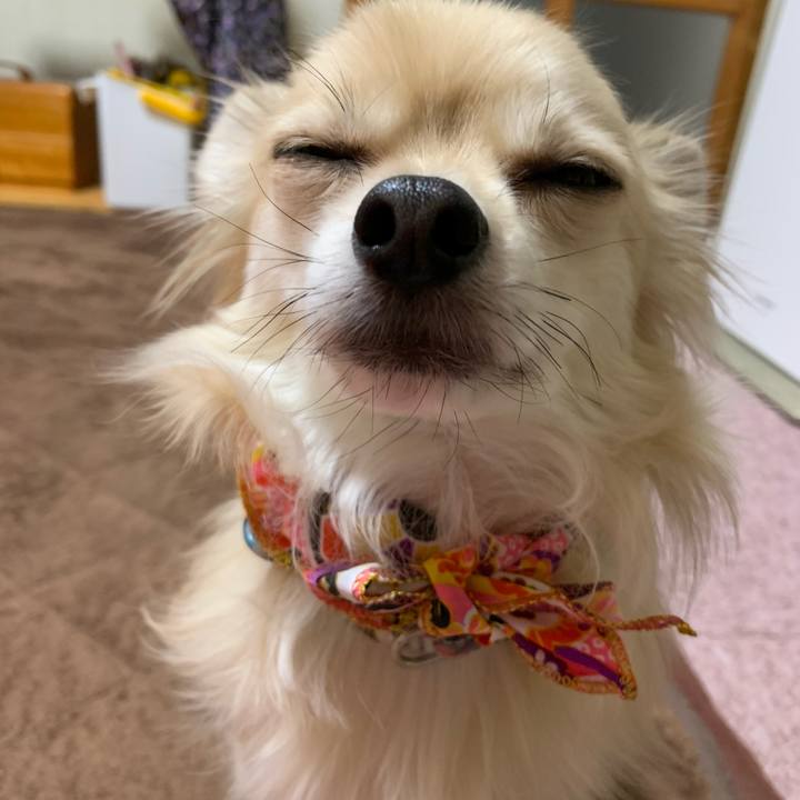 Faa017da b4b3 41dc be05 3be55076c195 1609371608457