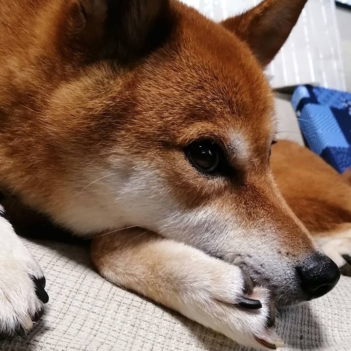 Faa02451 120c 46e9 9a95 bfee007030d6 1594564282229