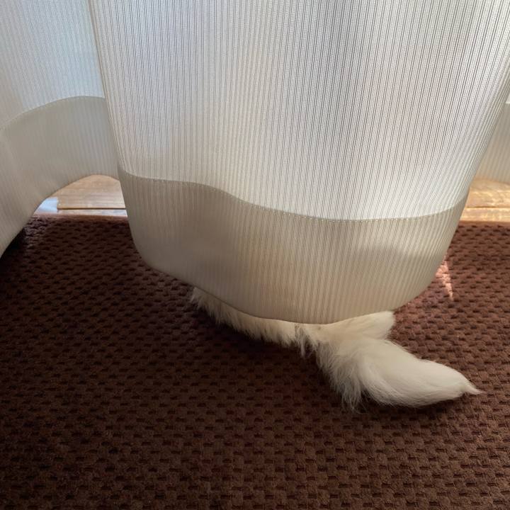 Faa0552d 7cbd 4733 b419 bb6a55e9ccb5 1740620896180