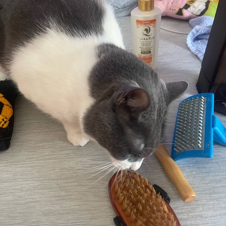 Faa061e1 0d11 43d4 b2ba 5e208e02e650 1755399298271