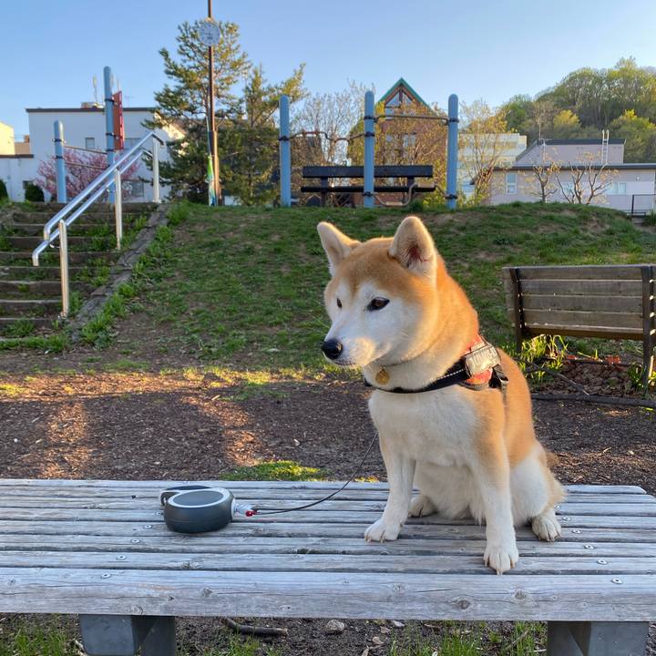 Faa0afe4 e758 4c36 877e a400be579b07 1652094442786