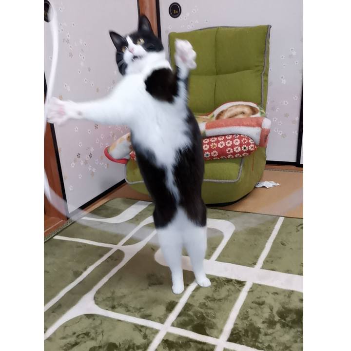 Faa0d513 5bc8 4aeb b1c1 2894ce92dabf 1615620981420